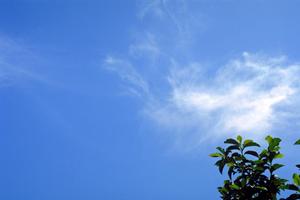 静岡県富士宮市の家族葬専門ホールと葬儀サービス：安心と信頼を提供する富士葬祭の特徴と店舗情報