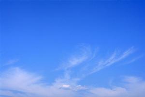 法事の返礼品を専門的に取り扱い