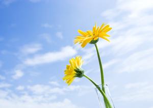 町田総合斎場 | 葬儀・葬式・家族葬なら「くらしの友」