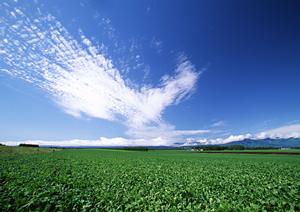 静岡県藤枝市の家族葬専門斎場・葬儀場｜家族葬のタクセル岡出山の特徴とサービス内容