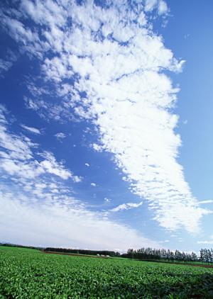 静岡市の家族葬・一日葬をサポートする富士葬祭 材木町：安心とプライバシー重視の斎場情報