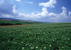 静岡市葵区に新登場！家族葬のタクセル丸山町｜高品質・低価格の家族葬専門斎場