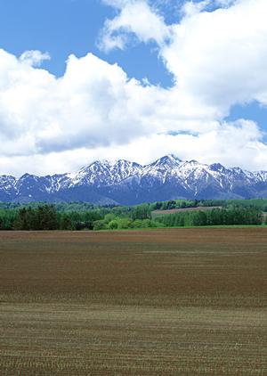 新宮市のお墓は墓石専門の石材店で