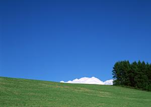 静岡市の信頼できる葬儀場【富士葬祭 瀬名】で安心の家族葬・一般葬を実現