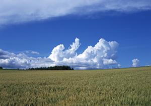 浦和で葬儀をあげる予定のある方には