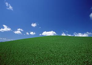 安心して任せられる！さいたま市の葬儀選びと事前準備ガイド