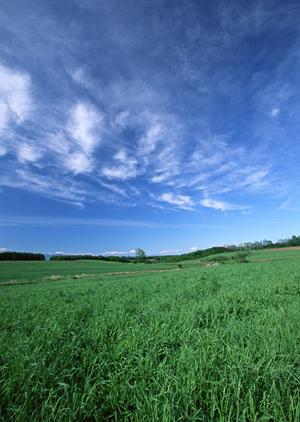 栃木県にある永代供養塔墓について