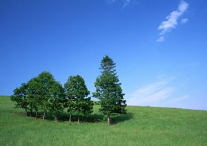 酒田市の水子供養で心から故人を偲ぶ