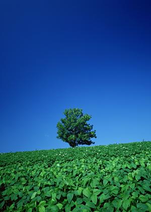 セレモニーホールに出向かずに見積可能