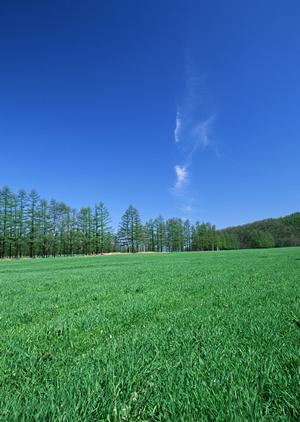 栃木の日光で信頼と実績の葬儀サービス｜さがみ典礼 日光の特徴と店舗情報