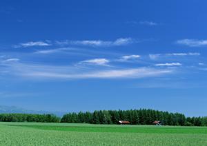 川越で満足のいくお見送りを執り行える