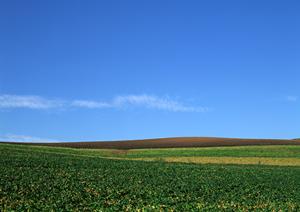 徳島県で家族葬ができるところは？