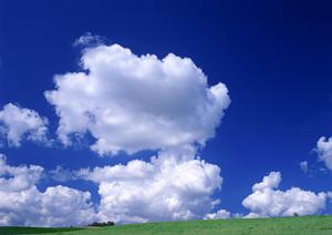 天候に関わらずにお参りができるお墓