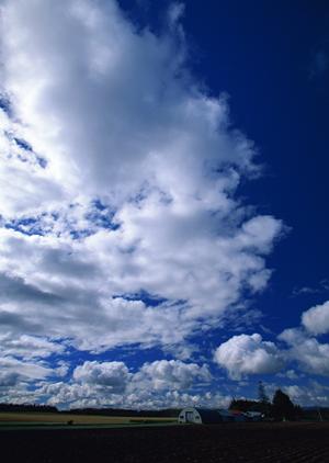 静岡県浜松市の家族葬専門斎場｜安心・低価格の家族葬のタクセル天王の魅力と特徴