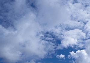 摂津で家族葬を取り扱っている会社