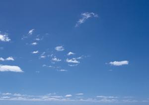 自宅まで火葬車で来てくれるので安心