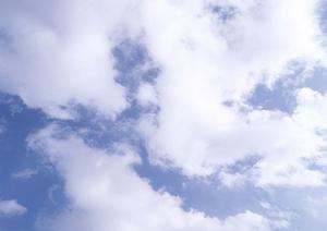 選択肢の中に入れたい家族葬とは？