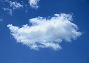 静岡市近辺でペット供養の相談ができる