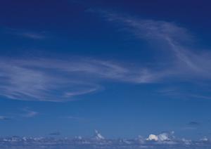 羽束師会館で理想のお葬式を行うなら