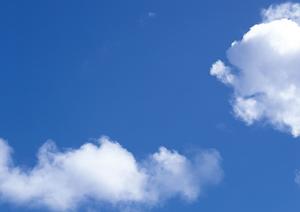 気に入った品物を簡単に購入できる