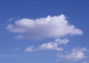 ぴったりの葬儀社を素早く探すには