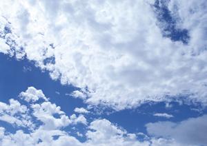 新宿での永代供養を考えるならこちら