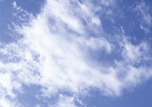 交通アクセスが良く花や緑に囲まれた霊園