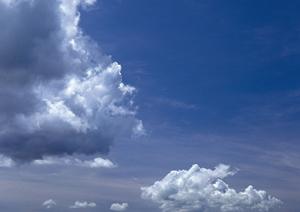 交通アクセスが良い大阪ペット霊園社