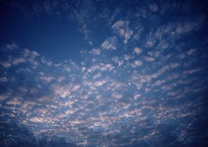 会員になることでお得に出来る徳島の葬儀