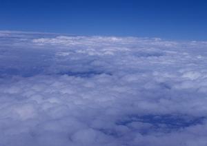藤枝市の由緒ある寺院で永代供養を