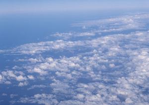 藤沢のペット火葬で最後のお別れ